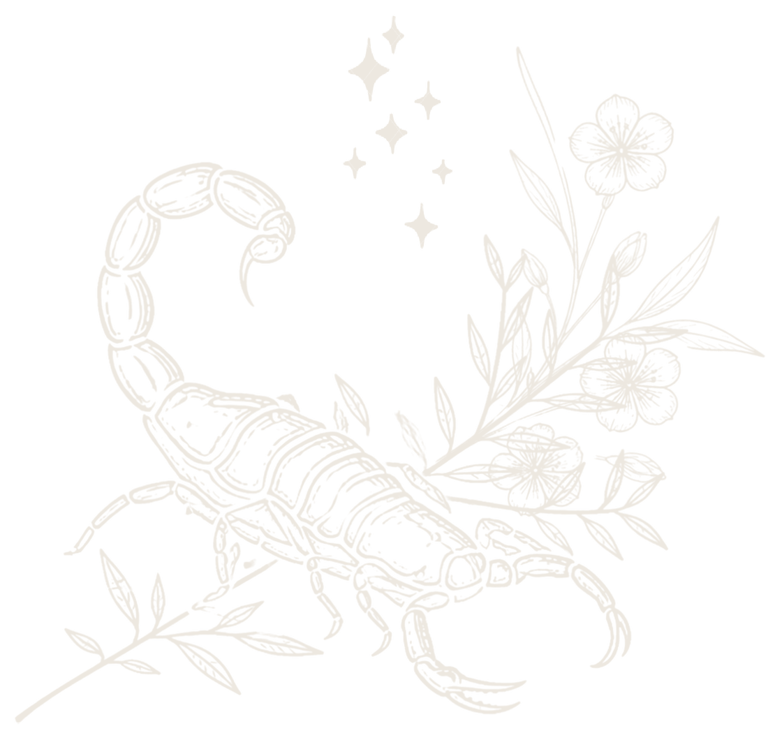 Mai's line drawing of a scorpion among wildflowers and stars