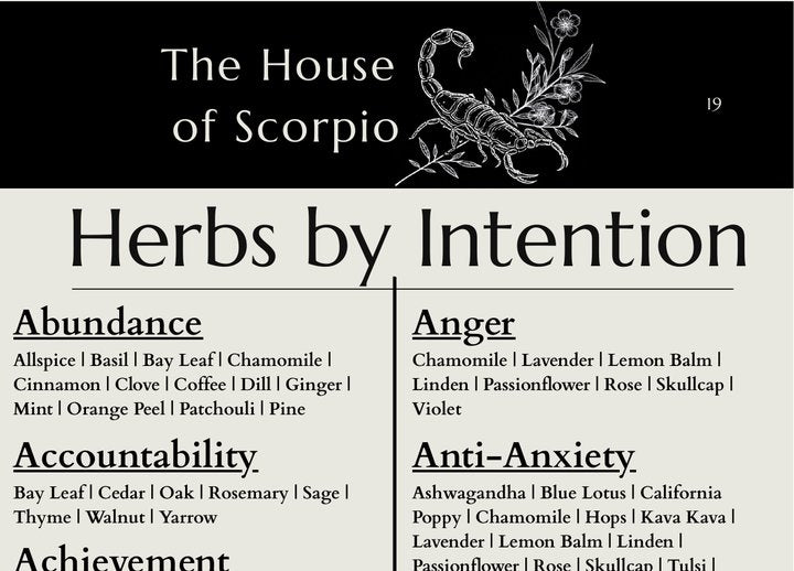 The Herbs by Intention page of the Mini Grimoire